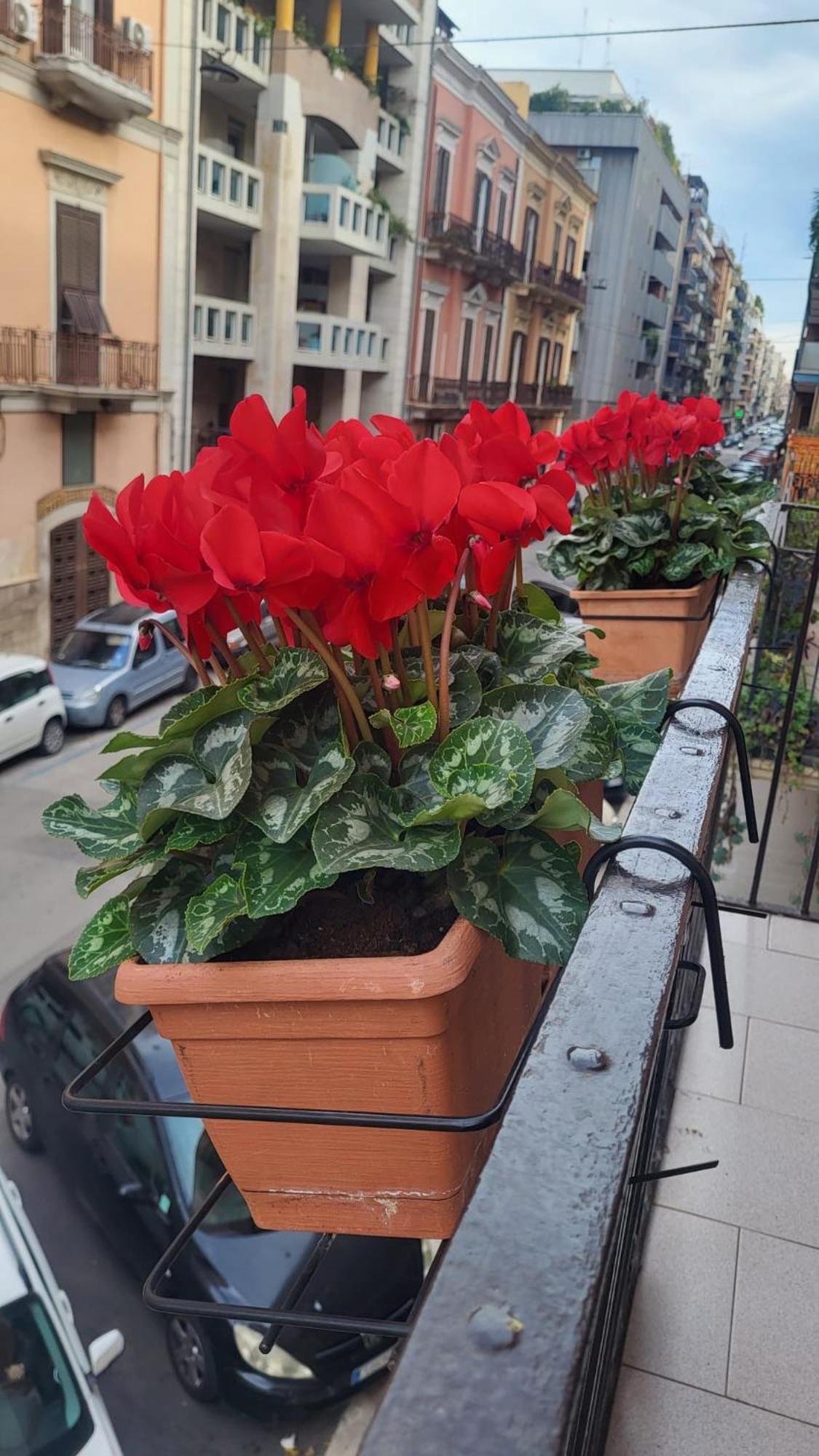 Volare House Bari Exterior foto
